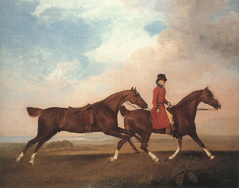STUBBS, George William Anderson with Two Saddle-horses er Norge oil painting art